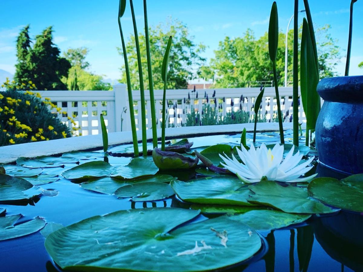 Waterstone Lodge Сомерсет-Вест Екстер'єр фото
